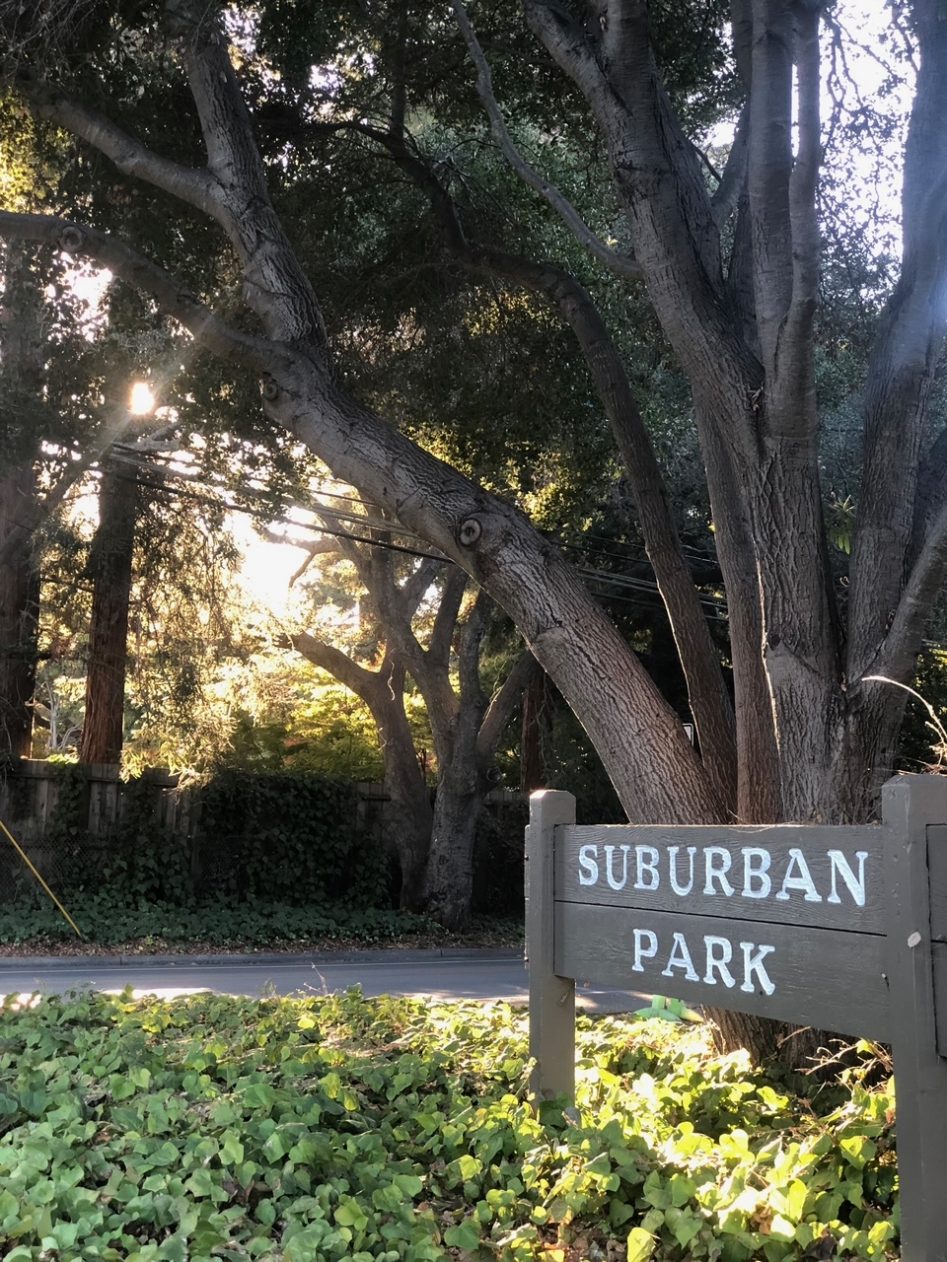 suburban park in menlo park