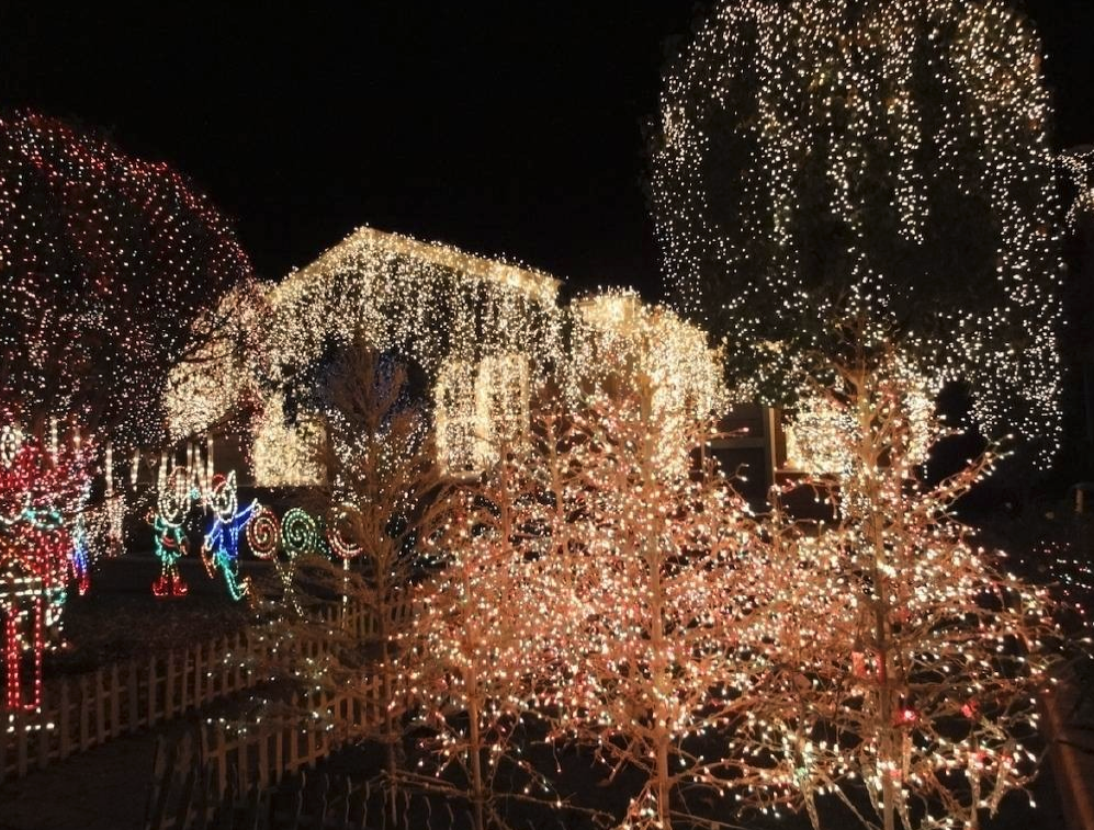 Christmas Lane in San Carlos is a great Holiday activity in the Bay Area. Look for Santa Claus some nights too.