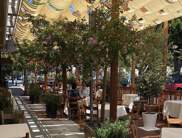 Palo Alto Restaurant Recommendations