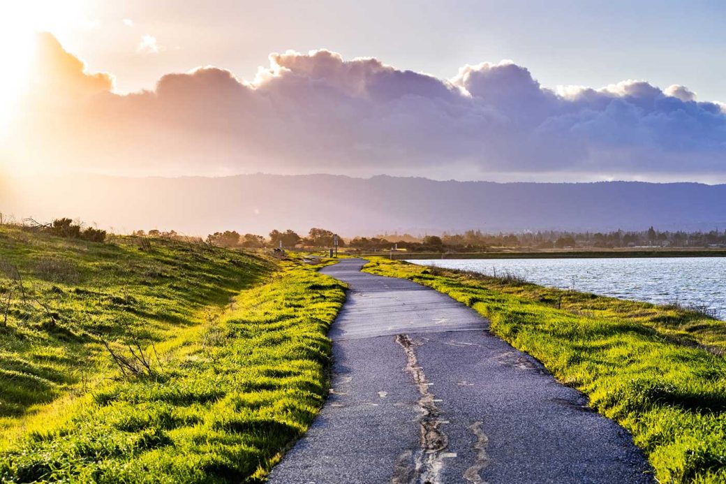 gorgeous path along the water in Mountain View. Home to International Corporations, Mountain view is a place place to exercise and run. Path is asphalt with green grass. And it's also home to highly ranked public schools.